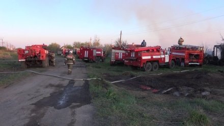 Вспыхнувшая сухая трава и ветер привели к крупному пожару в воронежском селе 
