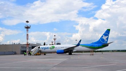 Аэропорт рассказал, в какие 14 стран можно будет улететь летом из Воронежа