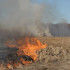 Третий класс пожарной опасности установили в 15 районах Воронежской области
