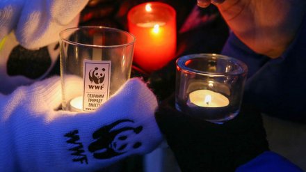 Воронежская область в восьмой раз присоединится к экологической акции «Час Земли»