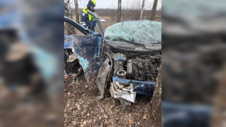 Компания молодёжи разбилась в ДТП в Воронежской области: есть погибший