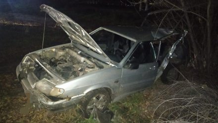 В воронежском селе трое парней погибли в ДТП с деревом