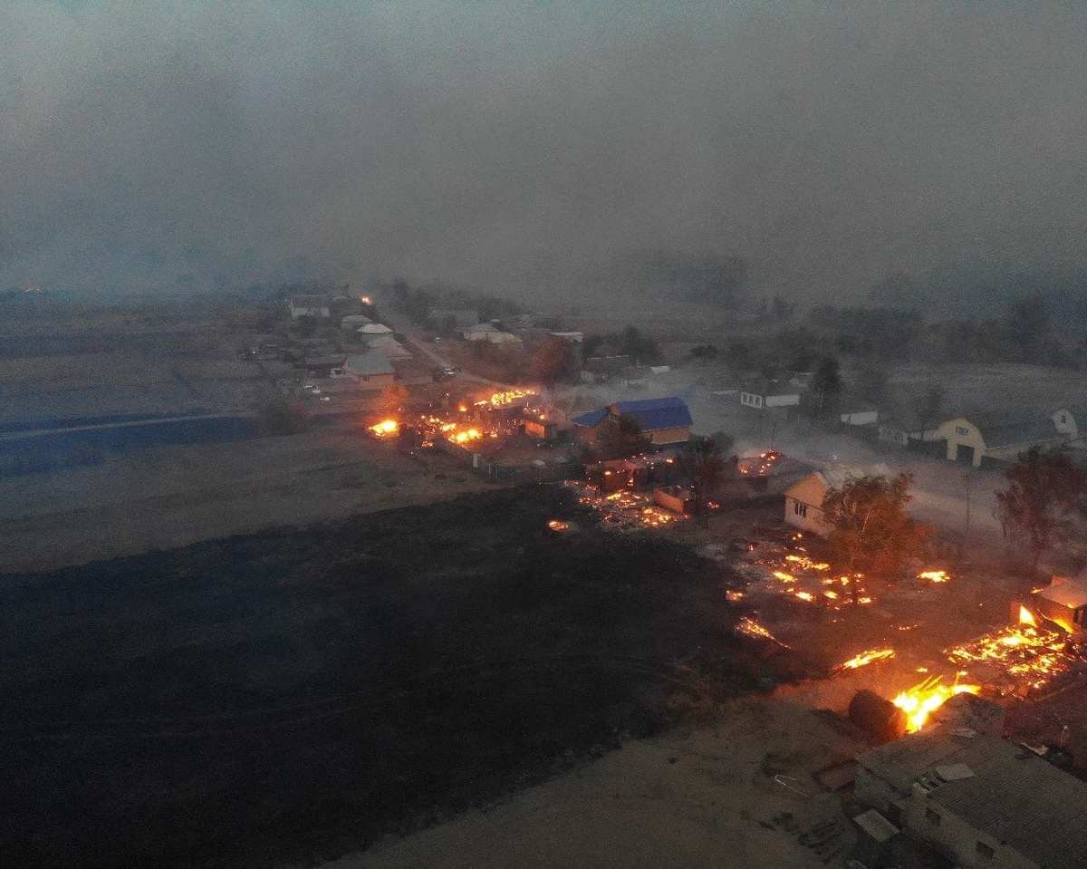 В селе Воронежской области лесной пожар добрался до жилых домов – Новости  Воронежа и Воронежской области – Вести Воронеж