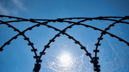 В Воронеже парня отправили в колонию на 22 года за попытку взорвать авто военного