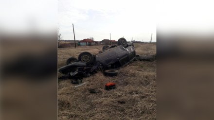 В Воронежской области пьяный водитель съехал в кювет и оказался в больнице