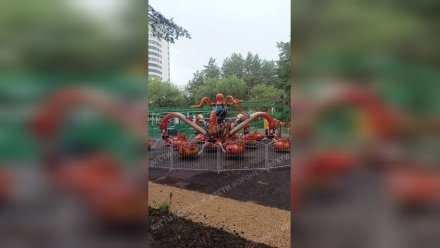 В воронежском «Танаисе» аттракционы будут работать три дня в неделю