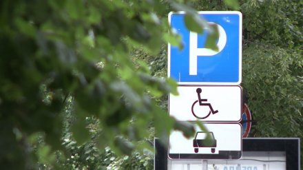 Жалобы не желающих платить за парковку воронежских автомобилистов рассмотрели в суде