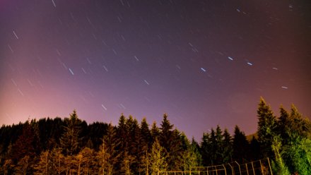 Около 5 вражеских дронов сбили в трёх муниципалитетах Воронежской области