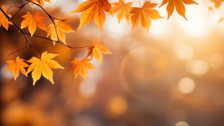 Прогноз погоды на 17.10.2025