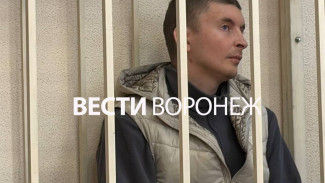 Устроившего смертельное ДТП воронежского мажора Гусева оставили в СИЗО