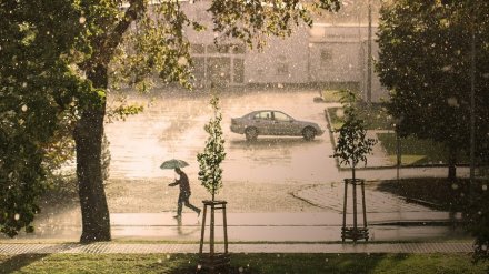 Грозовые дожди вернутся в Воронежскую область на рабочей неделе