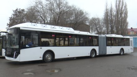 Новые автобусы-‭«гармошки» не вышли на линии в Воронеже после новогодних праздников