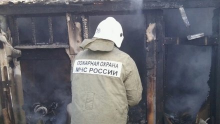 Мужчину и женщину спасли из горящего дома в Воронежской области