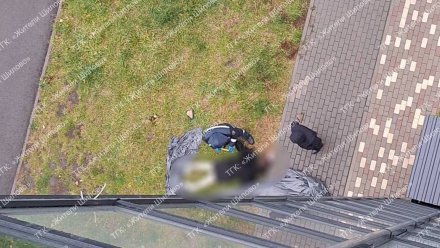 Погибшей в Шилове оказалась несовершеннолетняя девочка