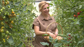 В Воронежской области постараются сделать органическое земледелие продуктивнее