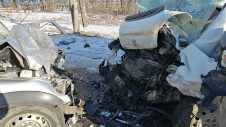 Три человека пострадали в ДТП с фургоном в воронежском селе