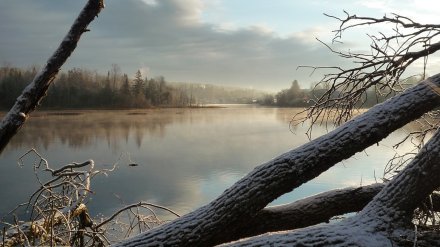 Эксперты воронежского заповедника назвали 2019-й самым тёплым за 80 лет