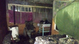 Следователи начали проверку после пожара с двумя погибшими в воронежском селе