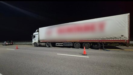 В Воронежской области «Лада Калина» сбила ремонтирующего грузовик водителя фуры