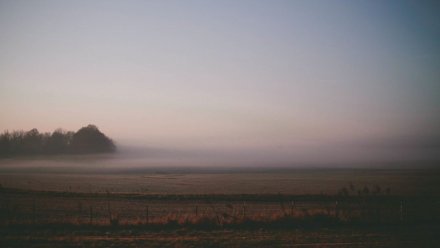 Воронежская область оказалась в жёлтой зоне погодной опасности из-за сильного тумана