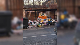 Воронежцы пожаловались на горы отходов возле «умной» мусорки в центре города