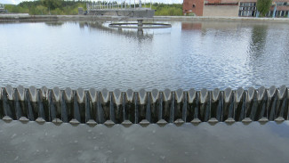 Гусев рассказал о процессе реконструкции воронежских ЛОСов