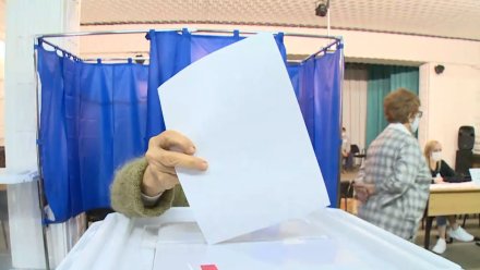 В Воронежской области досрочно проголосовали 29,68% избирателей