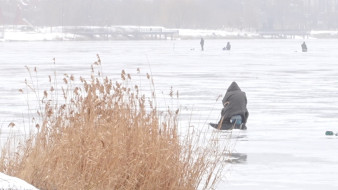 Рыбаки рискнули выйти на лёд Воронежского водохранилища в оттепель