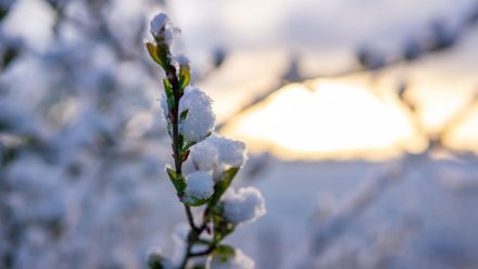 Прогноз погоды в Воронежской области на 7.02.2024