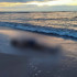 Туриста из Воронежа нашли мёртвым на пляже у Балтийского моря
