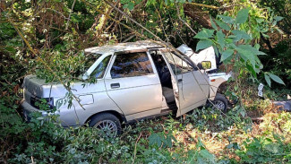 ВАЗ влетел в дерево в Воронежской области: есть жертвы