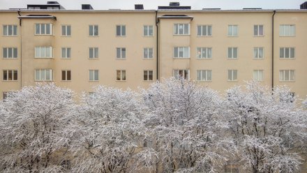 Из-за тумана в Воронежской области объявили жёлтый уровень погодной опасности