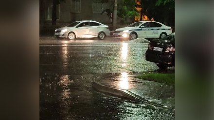 В центре Воронежа автомобилист насмерть сбил 83-летнего мужчину