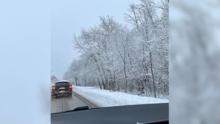 В Воронеже за 12 часов выпало 2 см снега