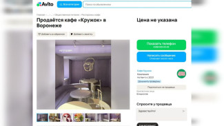 В Воронеже за тайную цену решили продать популярное кафе «Кружок»