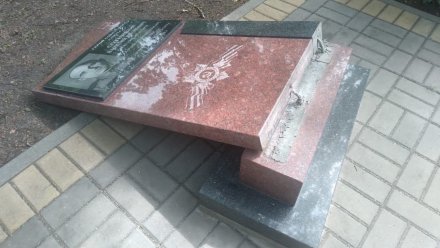 В Воронежской области возбудили уголовное дело после разгрома памятников героям