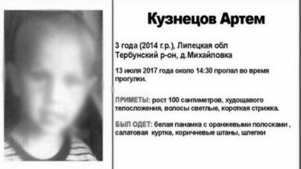 Родители пропавшего 3-летнего мальчика опознали найденные под Воронежем панамку и куртку