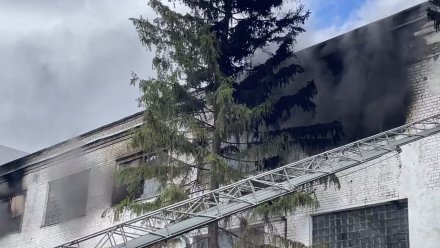 Спасатели установили личности погибших при пожаре на воронежском заводе