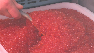 Воронежцев пригласили за морским деликатесами Камчатки