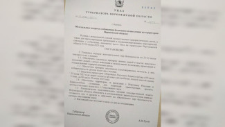 Воронежцам прислали фейк об усилении мер безопасности в связи с терактом