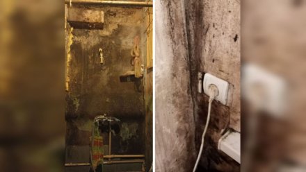 Жилинспекция перечислила нарушения в ветхом общежитии на Торпедо в Воронеже