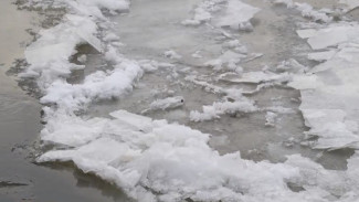 Уровень воды в реке Дон в Воронежской области продолжит увеличиваться