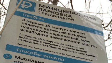 Воронежские платные парковки перестанут быть муниципальными к 1 апреля