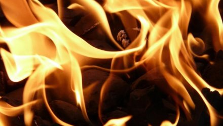 На пожаре в воронежском селе погиб пожилой мужчина