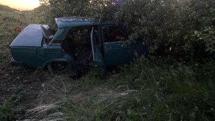 Компания молодёжи попала в больницу по вине 17-летнего пьяного автомобилиста  