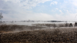 В Воронежской области спрогнозировали густой туман