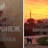 Стая собак напала на девушку в воронежском коттеджном посёлке