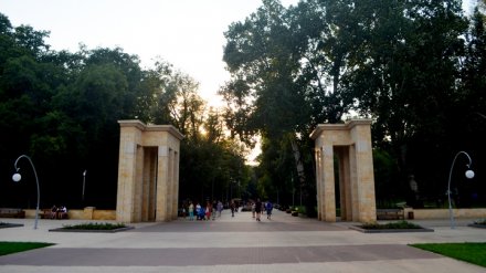 Концепцию развития воронежского Центрального парка представят в декабре 2018 года
