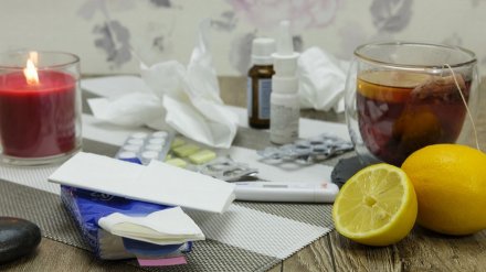 Врачи зафиксировали резкий рост заболеваемости гриппом и ОРВИ в Воронежской области
