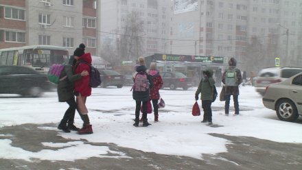 Губернатор разрешил воронежским школам перейти на дистант из-за снегопада